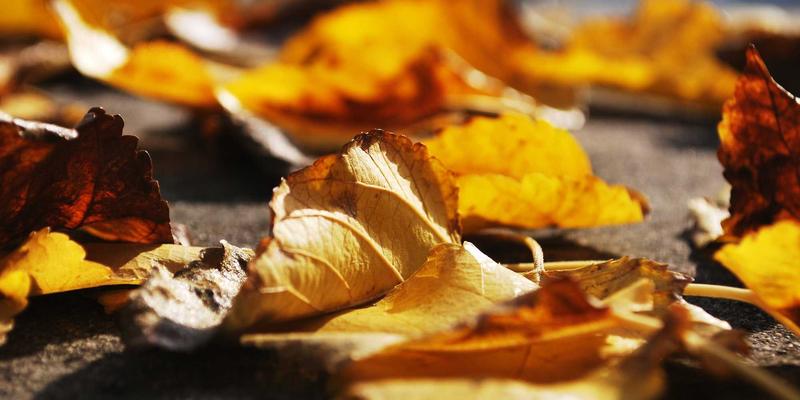 小小图机械：构建精密加工设备远程故障诊断与预测性维护系统的工业解决方案