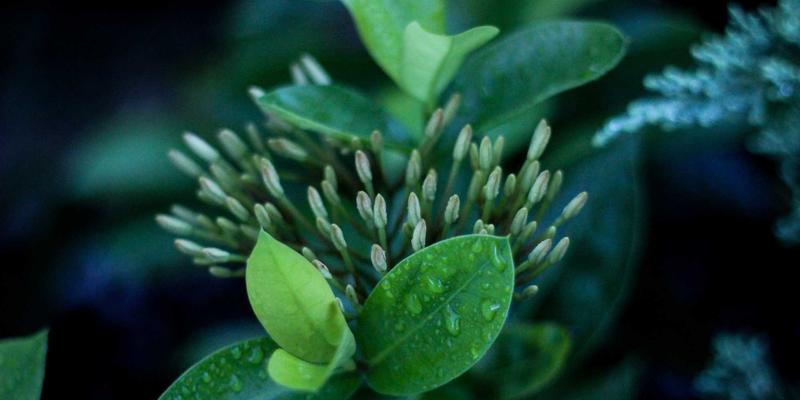 工业机器人减速机漏油故障深度诊断：小小图机械的精密加工长效密封方案