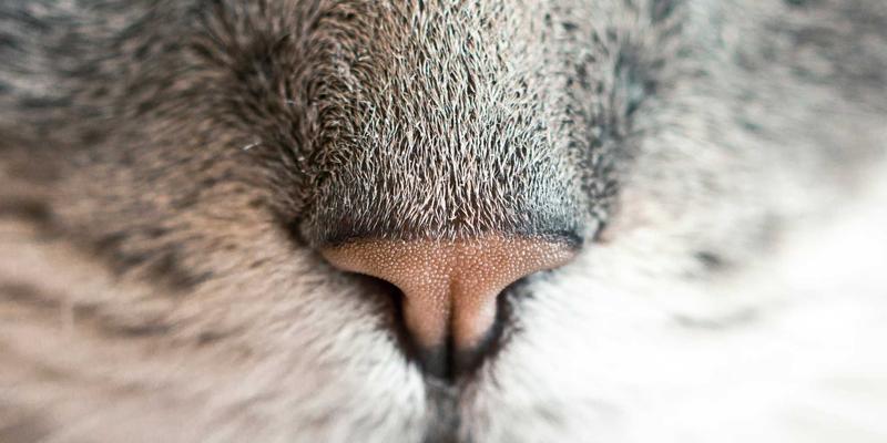 机械设备66：从机械零件到整机集成的现代化解决方案