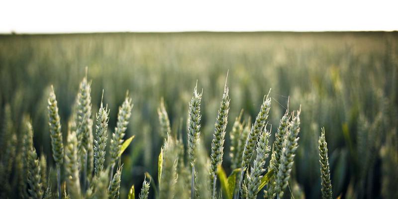 机械设备92：精密加工如何重塑机械零件的未来