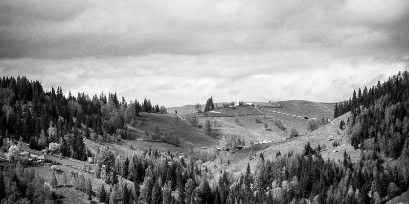 港口起重机械钢丝绳无损检测技术与寿命预测模型：自动化设备的关键工业解决方案