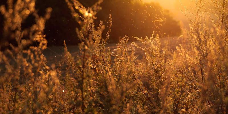 精密加工:现代机械设备与机械零件的核心技术解析