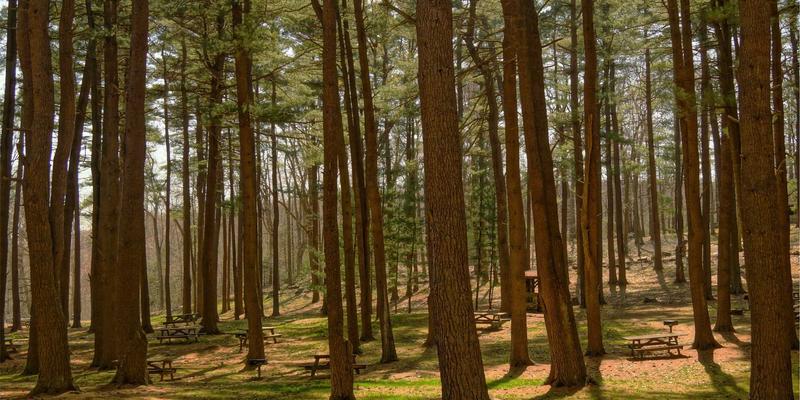 精密加工的艺术：揭秘半导体制造核心设备光刻机与刻蚀机的原理与特殊维护